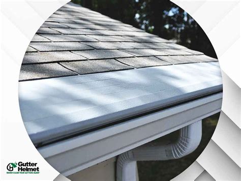 Rain Diverters: Are They a Substitute for Gutters?