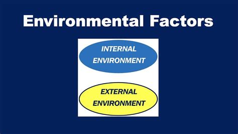 Environmental Factors