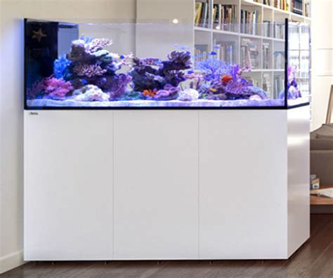 Red Sea REEFER™ Peninsula P650 White - Sydney Discus World Aquariums ...