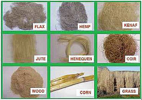 A review on the characterisation of natural fibres and their composites ...