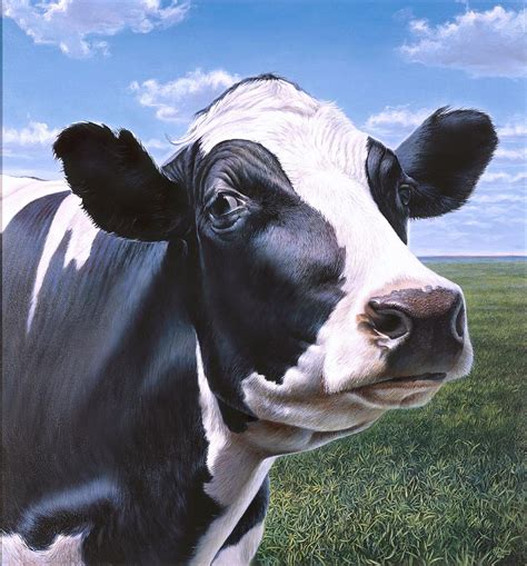 Holstein Cow Face Painting