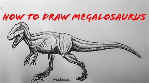 How to Draw Megalosaurus part 2 - YouTube