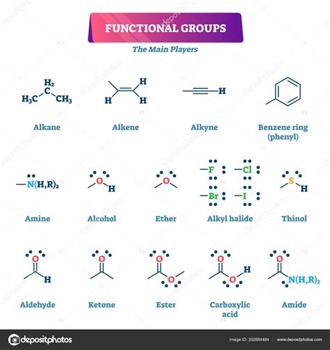 Functional groups vector illustration. Chemical reactions explanation ...