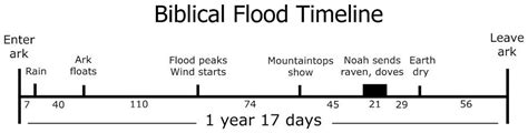 Picture Gallery | Noah flood, Bible truth, Flood