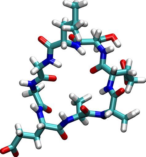 Cyclic Peptides – YSL Lab