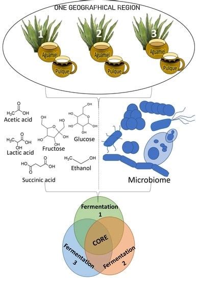 Fermentation | Free Full-Text | Analysis of the Microbial Diversity and ...