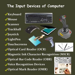 10 Input Devices Of Computer System | Examples, Types