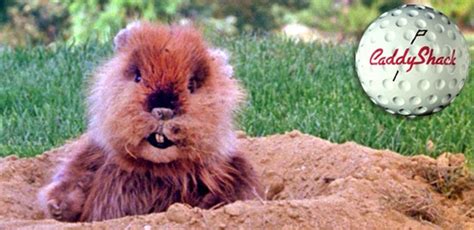 Gopher_Caddyshack_Feature1 | American Legion Post 44, Scottsdale Arizona