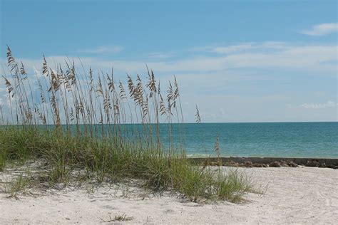 Coastal Erosion Prevention