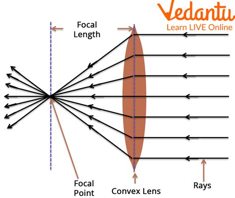 Types of Lenses in Physics and the Process of Making Lenses