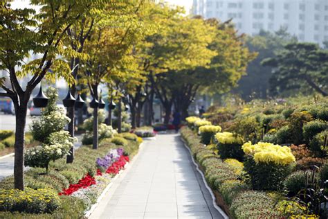 Bucheon: A People-Friendly Vision - Institute for Transportation and ...