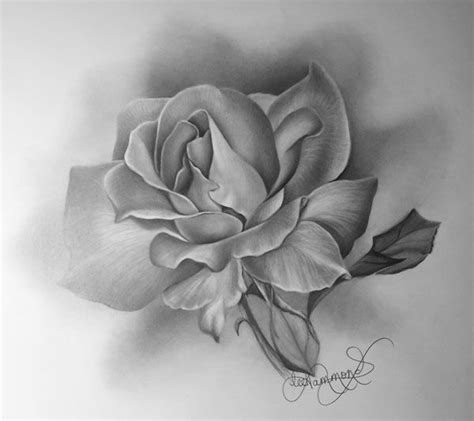 How To Shade Flower Petals | Best Flower Site