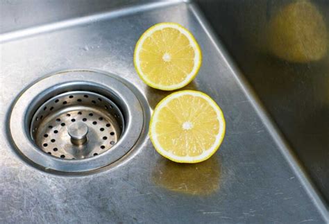 Lemon Peels in the Garbage Disposal (Good or Bad) - Shiny Modern