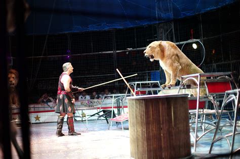 Under the big top of Japan's Kinoshita Circus