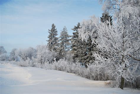 Swedish winter by RogerUlf on DeviantArt