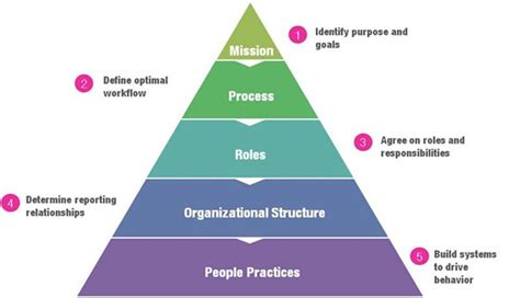 Reasons, Advantages, and Disadvantages of Formal Organizational ...