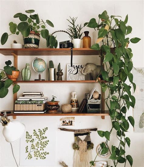 Plant shelf. | Aesthetic room decor, Cozy room decor, Decor