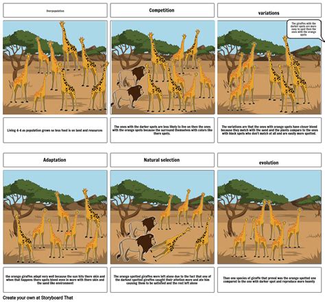 Evolution comic strip Storyboard by 12567