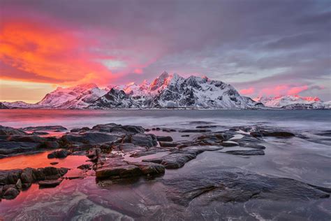 Wild Landscape | Un Vaillant Martien