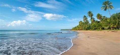 Beachside Picnic Spots in Odisha Explore the Best Places Odisha