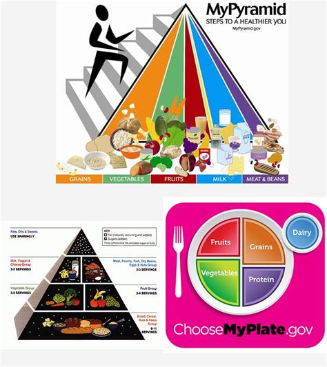 What Is The Importance Of Food Pyramid For Kids And Teens?