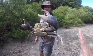 Australian wildlife enthusiast catches giant mud crab | Daily Mail Online