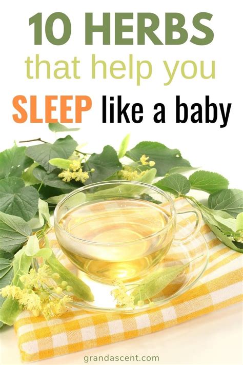 10 Best Herbs For Sleep - Grand Ascent | Herbs for sleep, Natural ...