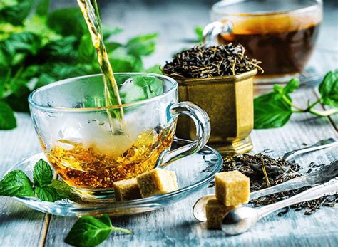 IHBT focuses on Kangra Tea as immunity booster - FFOODS Spectrum