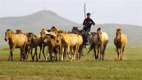 Nomadism in Mongolia - Horseback Mongolia