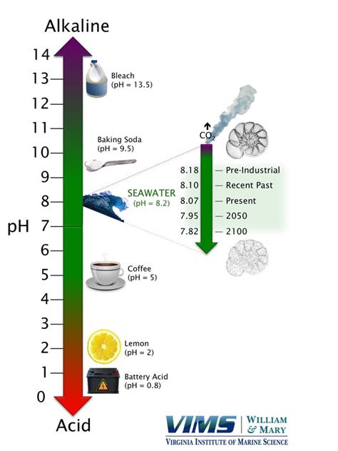 The pH Scale | Virginia Institute of Marine Science