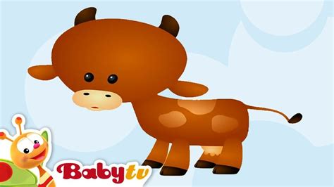 Cow | Animal Sounds and Names for Kids & Toddlers | BabyTV | Animal ...