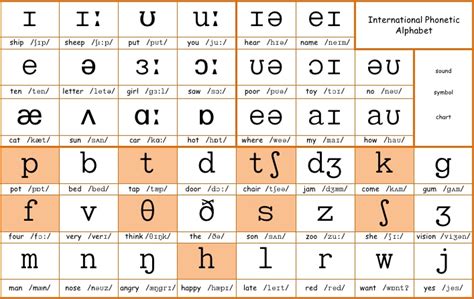 International Phonetic Alphabet Chart With Examples - Ipa English Vowel ...