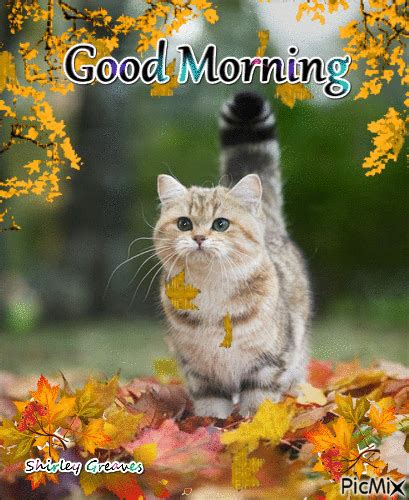 Fall Leaves Good Morning Gif Pictures, Photos, and Images for Facebook ...