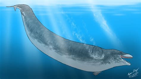 Basilosaurus by BattlingBeasts on DeviantArt