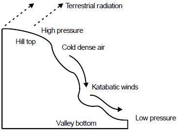 With the aid of a clearly labeled diagram, describe the occurrence of ...