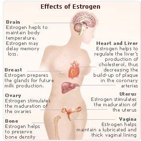 Effects of Estrogen