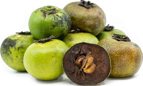 Black Sapote Information and Facts