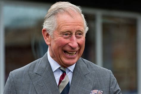 Prince Charles's Statement on New Royal Baby | POPSUGAR Celebrity