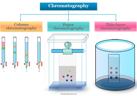 🌈 Chromatography examples. Chromatography. 2022-10-28