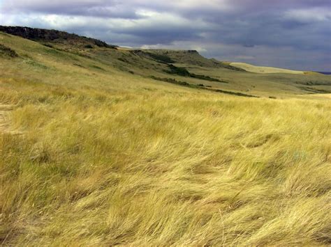 Temperate grassland: grassland-head-smashed-in-buffalo-jump-hd.jpg ...