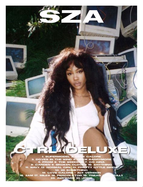 sza ctrl deluxe album poster ♡ | Pósteres vintage, Carteles gráficos ...