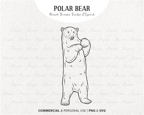 Polar Bear Vector Clipart. Standing Winter Bear Outline. Ice Bear SVG ...