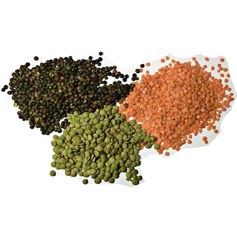 Lentil Seeds (Lens culinaris) - Preț: €1.85