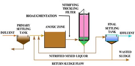 Nitrification Bioaugmentation in an Activated Sludge Process ...