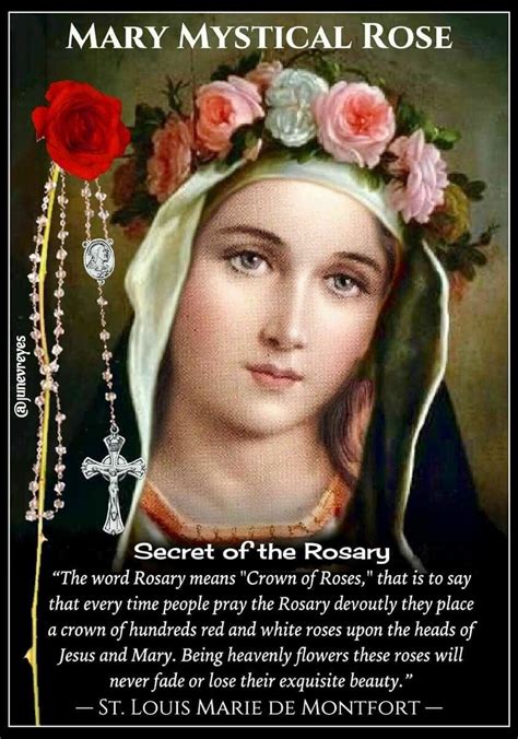 María Rosa Mística | Blessed mother mary, Blessed mary, Blessed mother