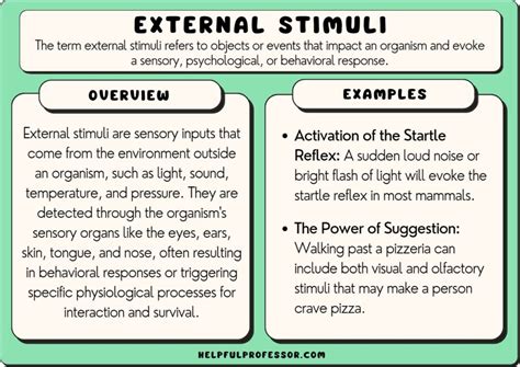 External Stimuli: Examples and Definition (2024)