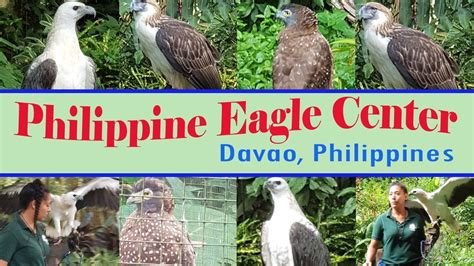 Philippine Eagle Center at Davao Philippines l Travel Destinations l ...