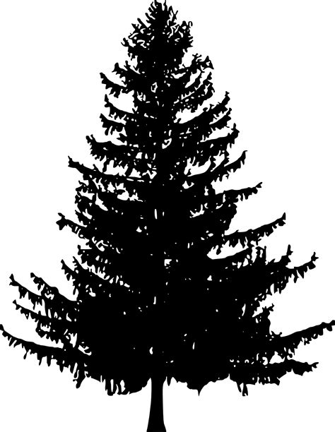 10 Pine Tree Silhouette (PNG Transparent) | OnlyGFX.com