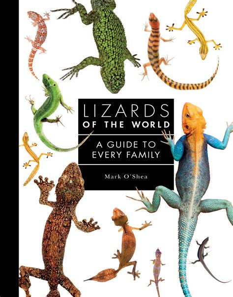 Lizards of the World - Mark O'Shea - 9781782409571 - Murdoch books