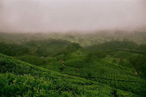 agriculture, countryside, farm, farming, field, fields, foggy, foliage ...